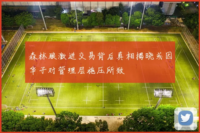 森林狼激进交易背后真相揭晓或因华子对管理层施压所致